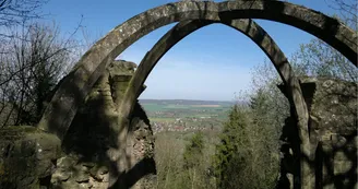 Montenoison_Vestiges du château