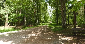 Rond de la Réserve - départ de sentier