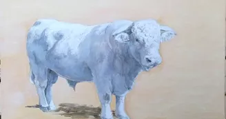 Peinture taureau charolais