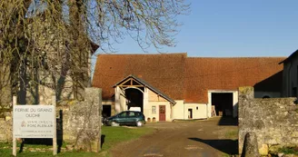 Ferme-du-grand-Ouche--2-