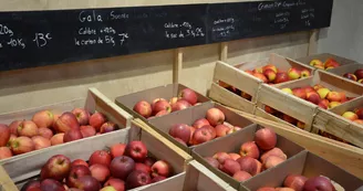 Les Halles de Loire