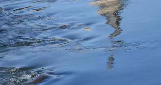 Le clocher dans l'eau