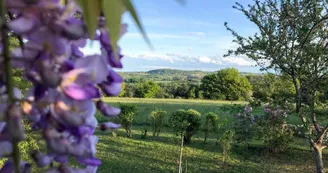 Vue de la terrasse sur la campagne