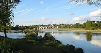 Vue sur l'île du Faubourg en Loire