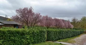 Camping municipal de Prémery