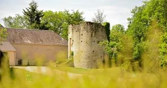 Tour des pendus